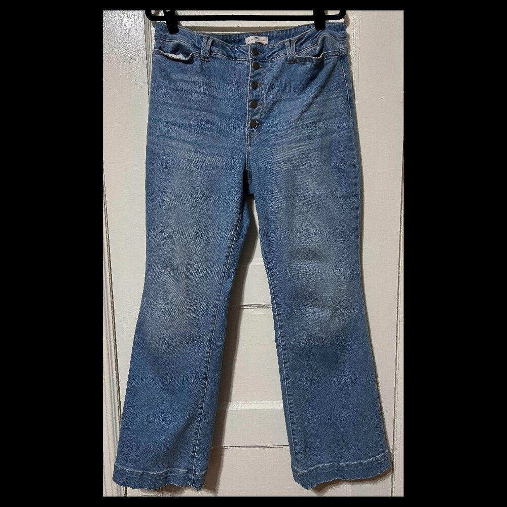 Mason & Belle Womens High Rise Buttonfly Wide Leg Denim Jeans Size 14/32 EUC